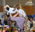 /album/fotogaleria16/049-jpg3/